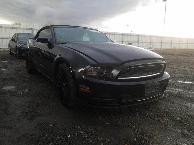 Photo 0 VIN: 1ZVBP8EM2D5242258 - FORD MUSTANG 