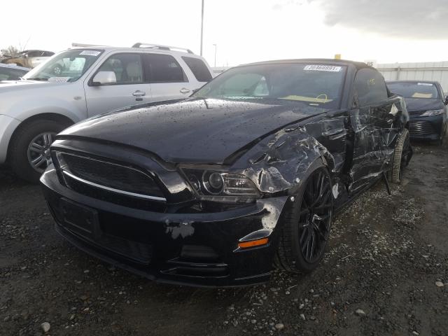 Photo 1 VIN: 1ZVBP8EM2D5242258 - FORD MUSTANG 