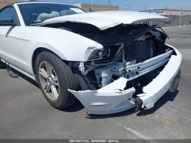 Photo 5 VIN: 1ZVBP8EM2E5321611 - FORD MUSTANG 