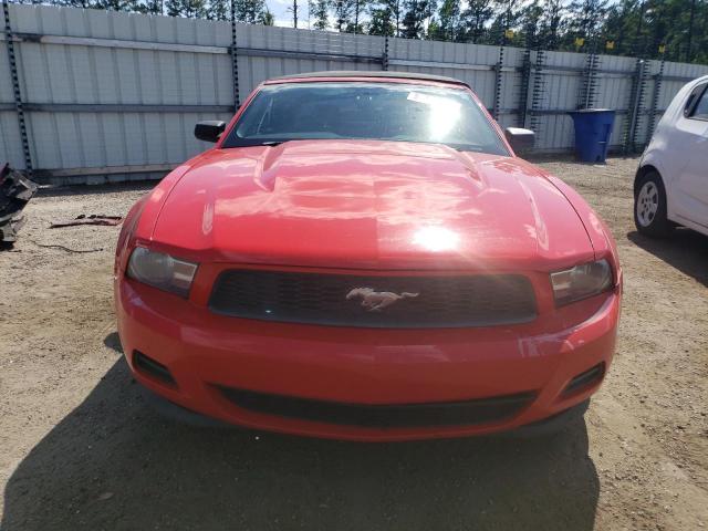 Photo 4 VIN: 1ZVBP8EM3B5100966 - FORD MUSTANG 