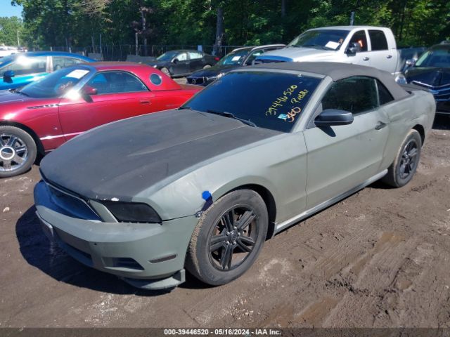 Photo 1 VIN: 1ZVBP8EM3B5120411 - FORD MUSTANG 