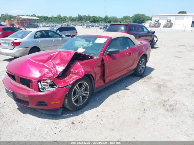 Photo 1 VIN: 1ZVBP8EM3B5160696 - FORD MUSTANG 