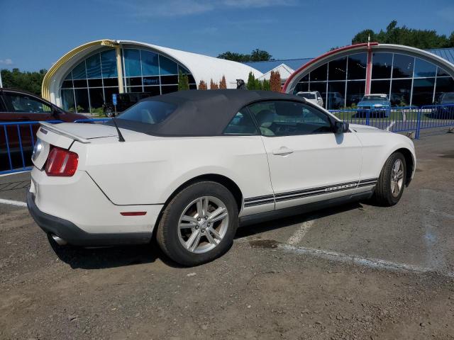 Photo 2 VIN: 1ZVBP8EM3B5163534 - FORD MUSTANG 