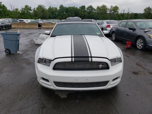 Photo 4 VIN: 1ZVBP8EM3E5215622 - FORD MUSTANG 