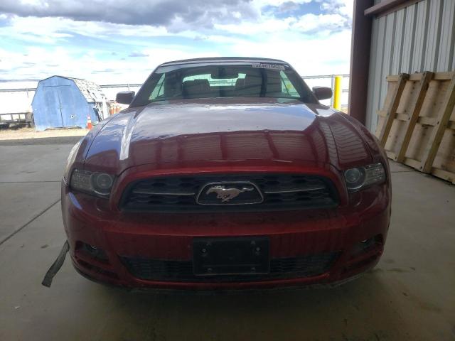 Photo 4 VIN: 1ZVBP8EM3E5219802 - FORD MUSTANG 