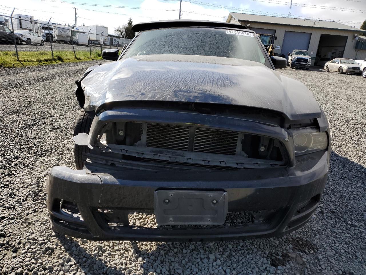 Photo 4 VIN: 1ZVBP8EM3E5264870 - FORD MUSTANG 