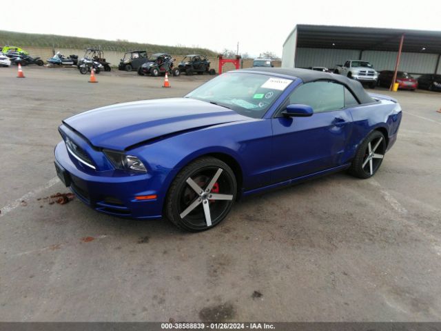 Photo 1 VIN: 1ZVBP8EM3E5271995 - FORD MUSTANG 