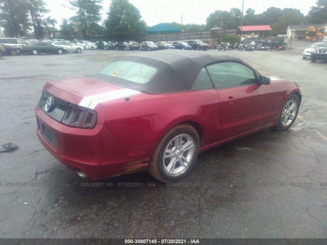 Photo 3 VIN: 1ZVBP8EM3E5304980 - FORD MUSTANG 