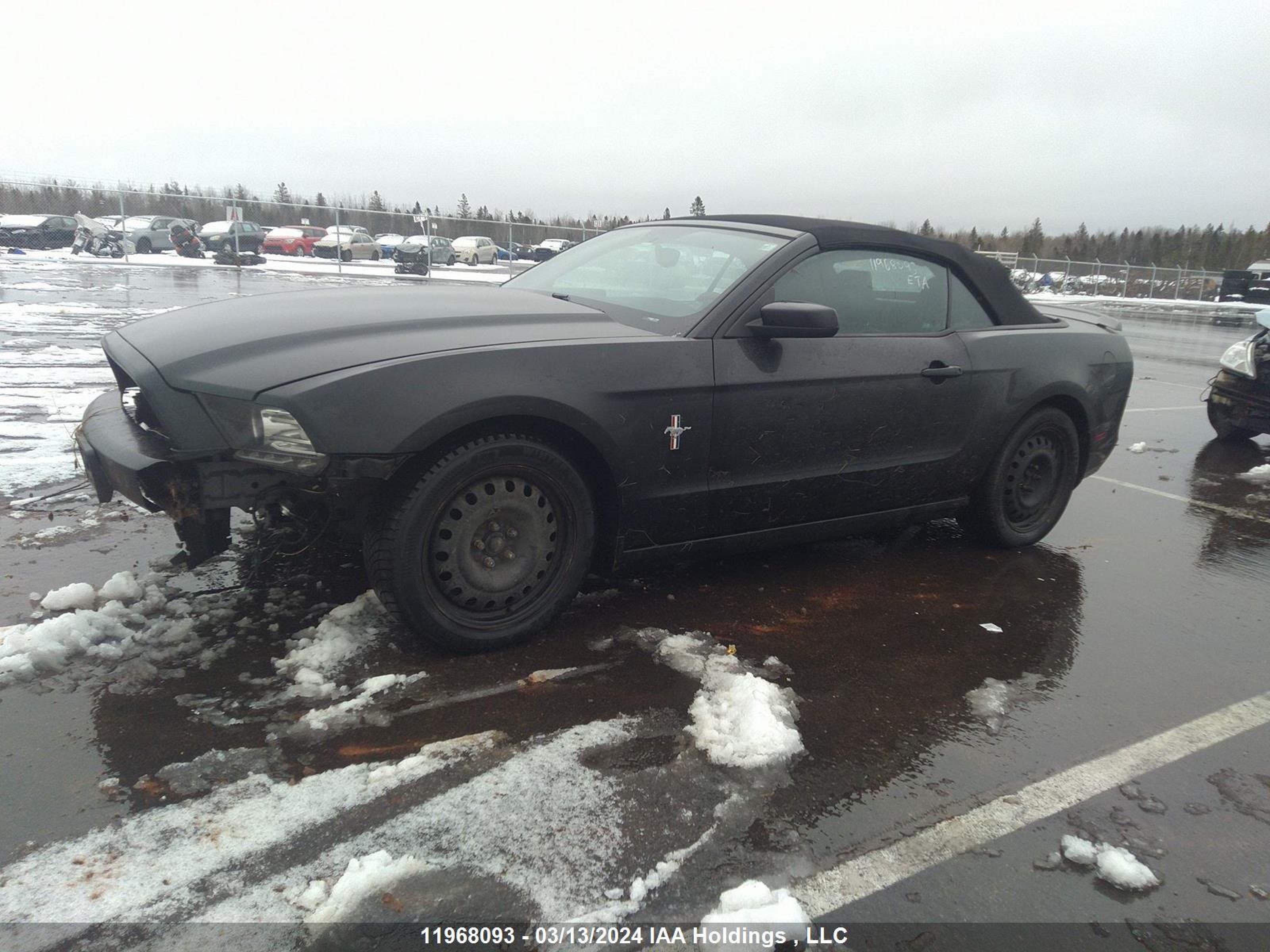 Photo 1 VIN: 1ZVBP8EM3E5307930 - FORD MUSTANG 