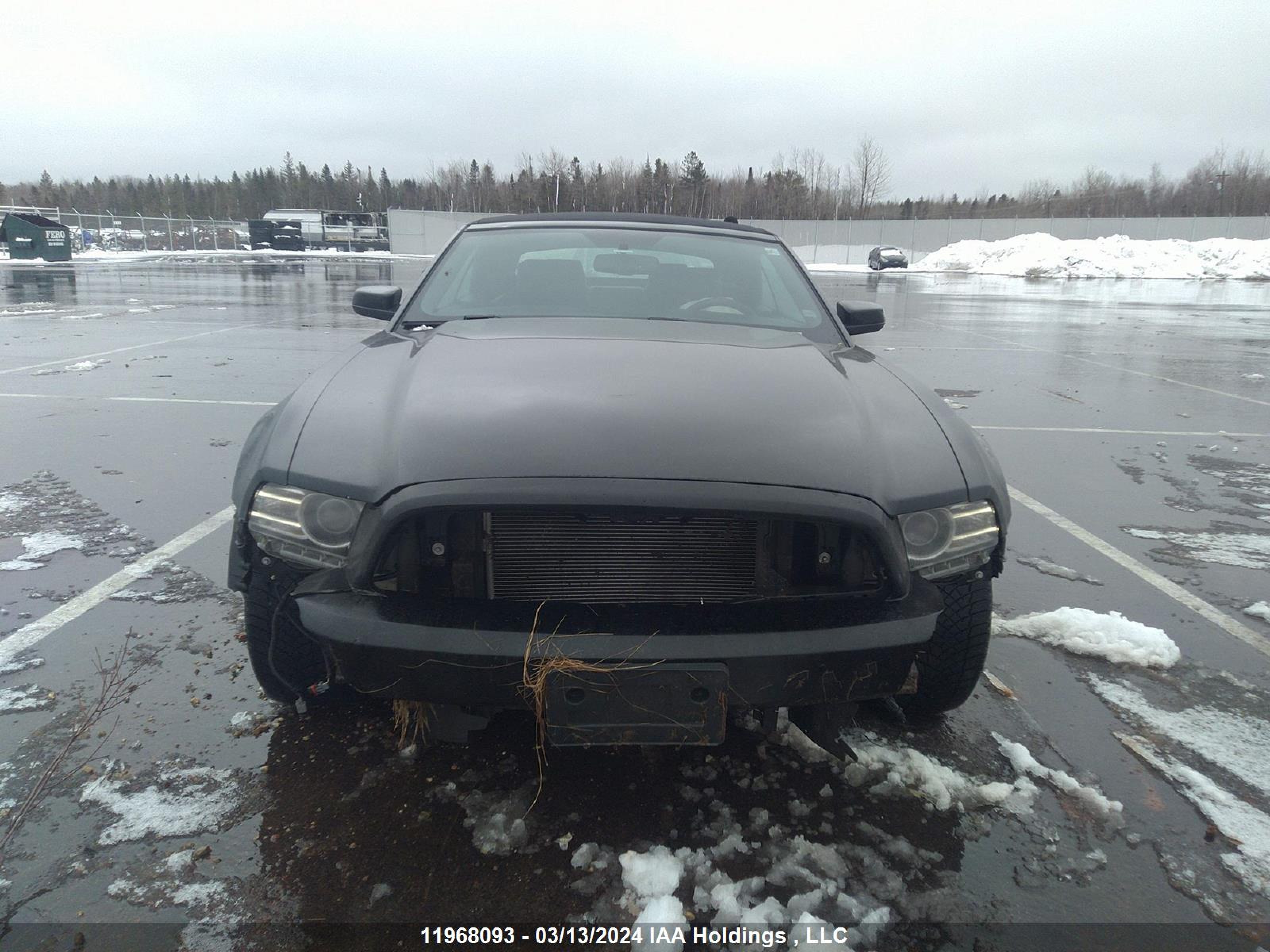 Photo 11 VIN: 1ZVBP8EM3E5307930 - FORD MUSTANG 