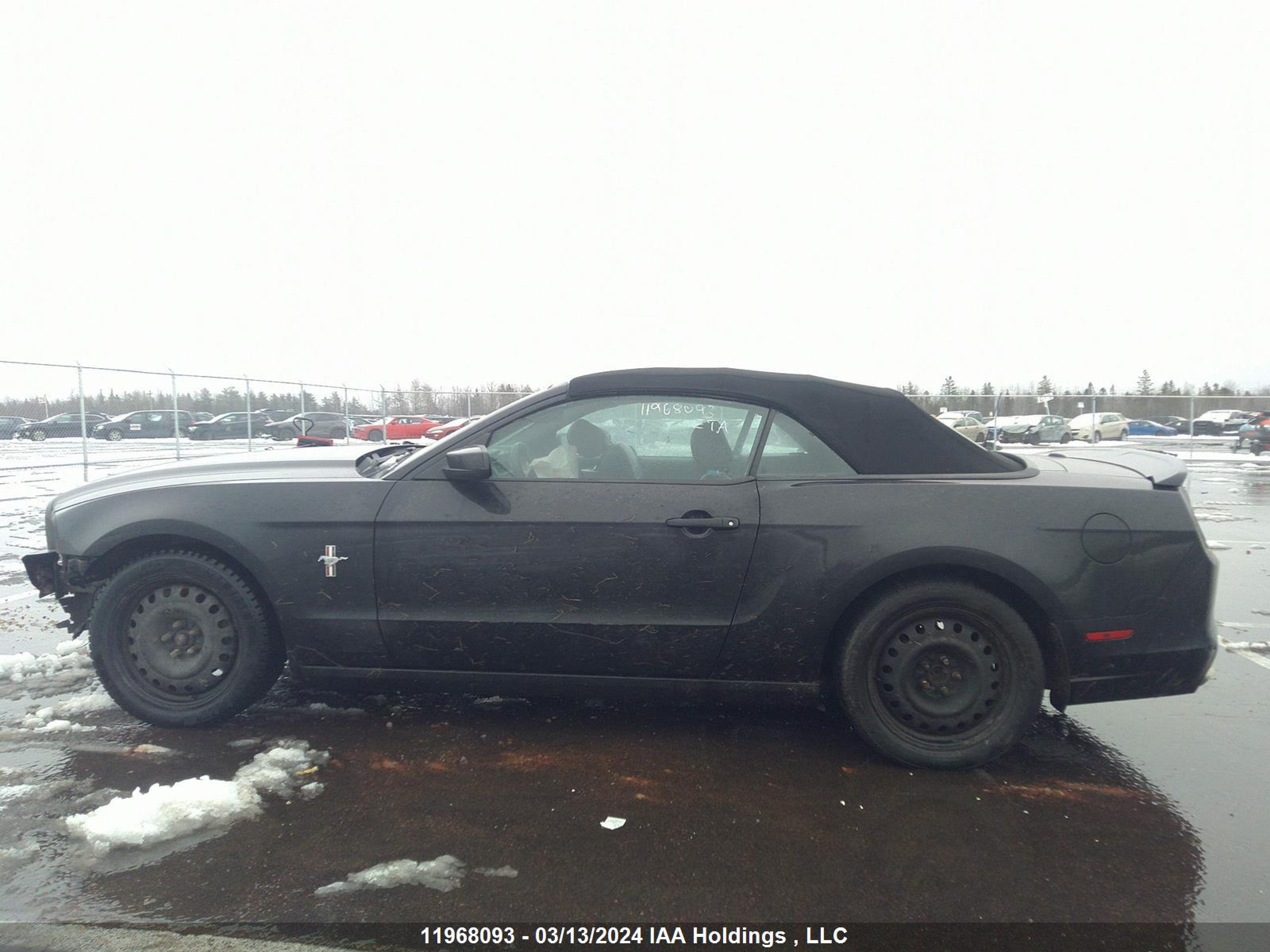 Photo 13 VIN: 1ZVBP8EM3E5307930 - FORD MUSTANG 