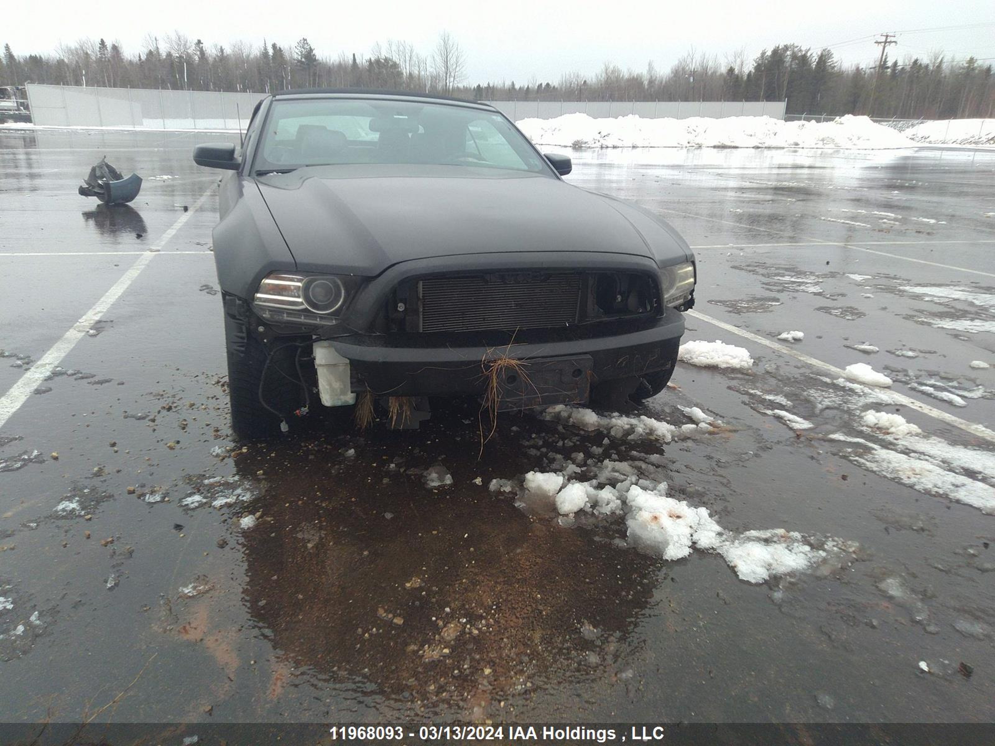 Photo 5 VIN: 1ZVBP8EM3E5307930 - FORD MUSTANG 