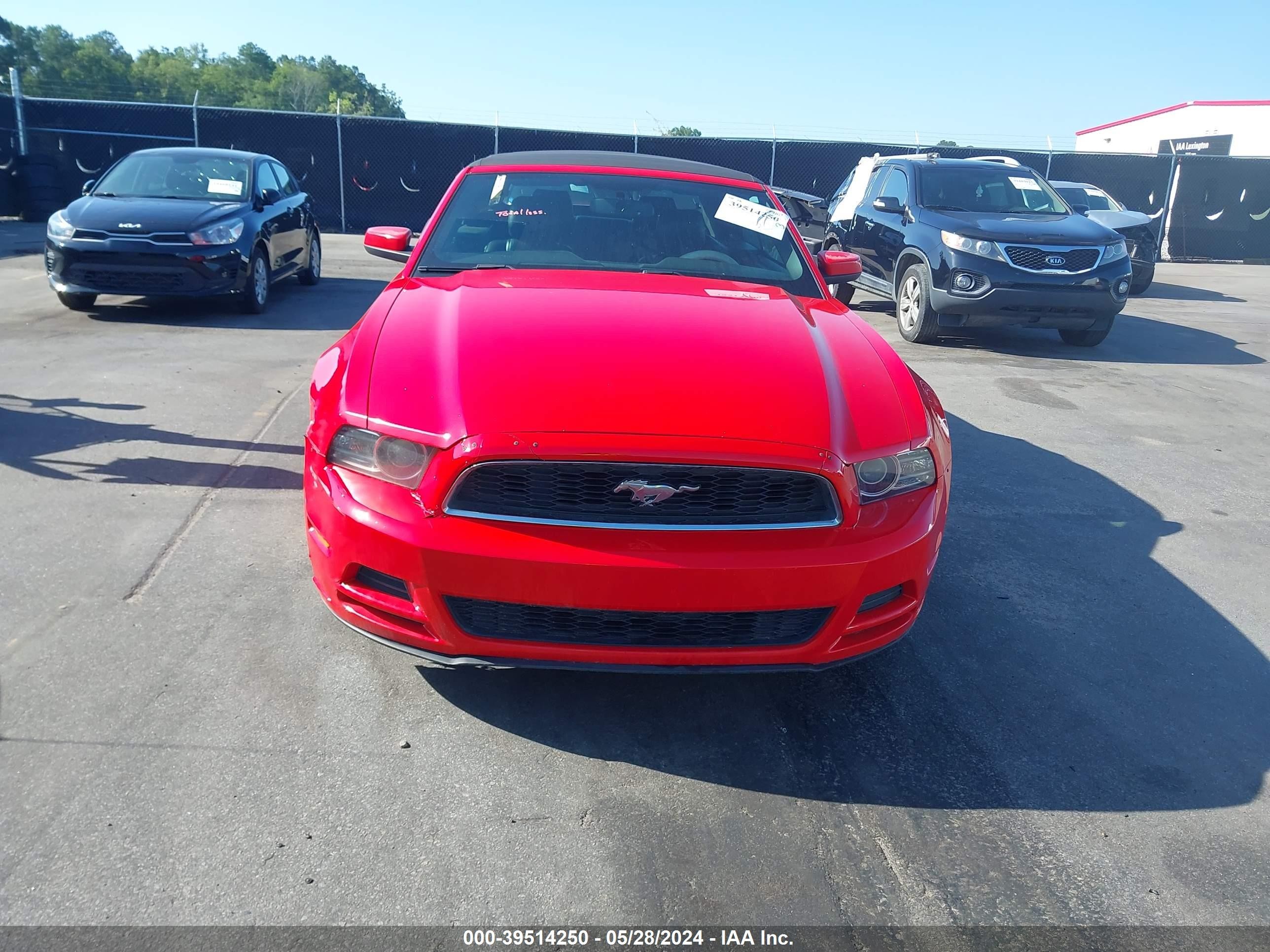 Photo 11 VIN: 1ZVBP8EM3E5311136 - FORD MUSTANG 