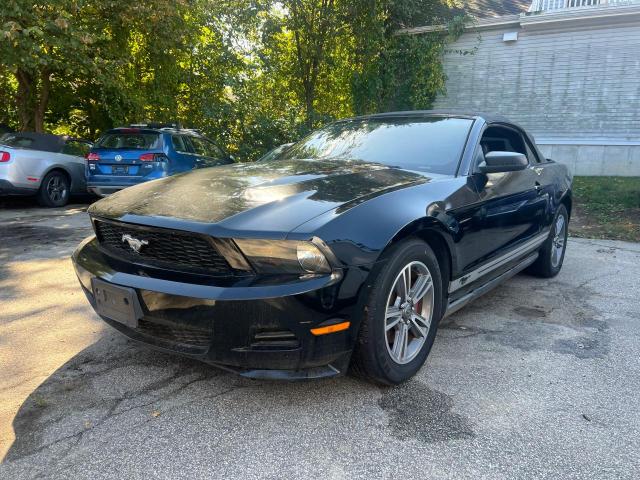 Photo 1 VIN: 1ZVBP8EM4B5101219 - FORD MUSTANG 