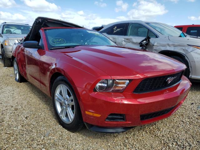 Photo 0 VIN: 1ZVBP8EM4B5141042 - FORD MUSTANG 