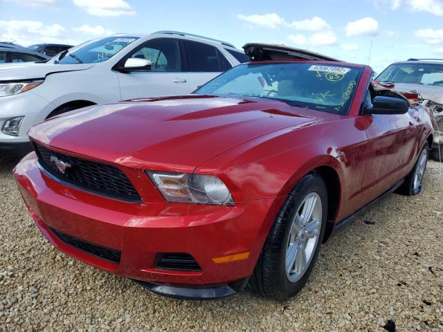 Photo 1 VIN: 1ZVBP8EM4B5141042 - FORD MUSTANG 