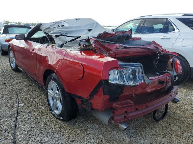 Photo 2 VIN: 1ZVBP8EM4B5141042 - FORD MUSTANG 