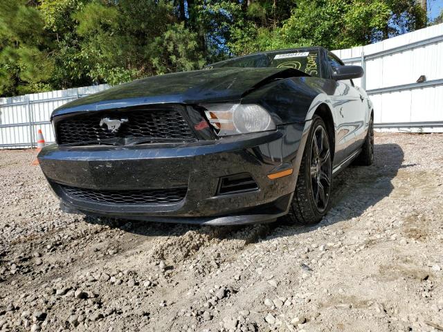 Photo 1 VIN: 1ZVBP8EM4C5241269 - FORD MUSTANG 