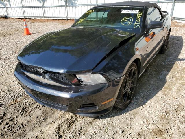 Photo 8 VIN: 1ZVBP8EM4C5241269 - FORD MUSTANG 