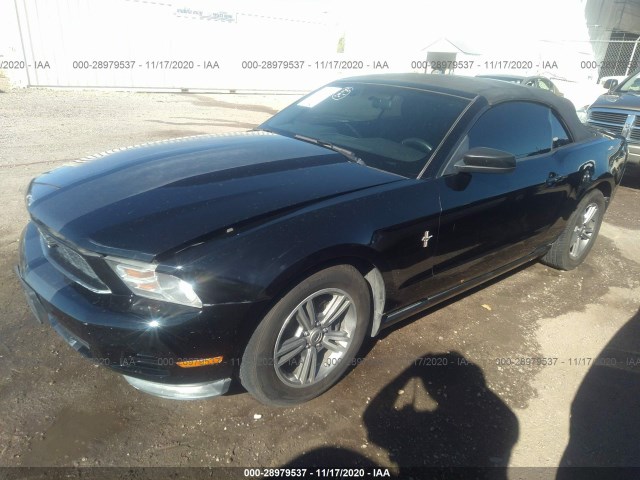 Photo 1 VIN: 1ZVBP8EM4D5202795 - FORD MUSTANG 