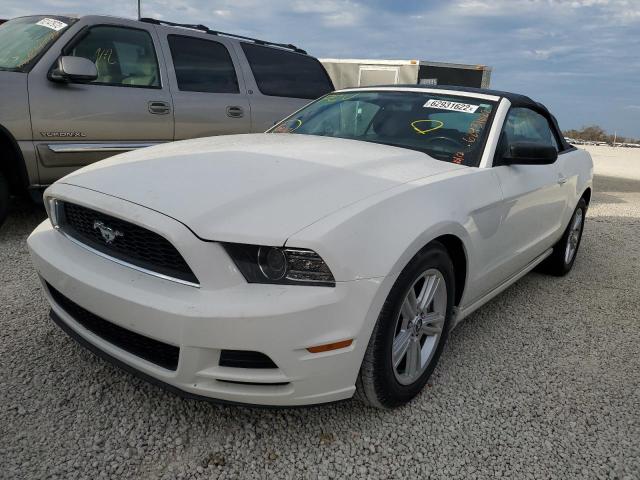 Photo 1 VIN: 1ZVBP8EM4D5203123 - FORD MUSTANG 