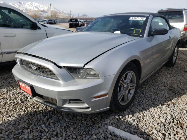 Photo 1 VIN: 1ZVBP8EM4D5203798 - FORD MUSTANG 