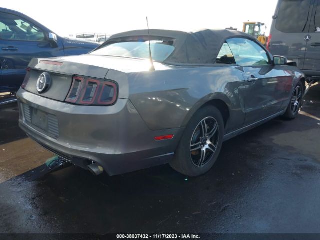 Photo 3 VIN: 1ZVBP8EM4D5224683 - FORD MUSTANG 