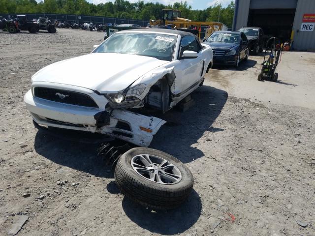 Photo 1 VIN: 1ZVBP8EM4D5252287 - FORD MUSTANG 