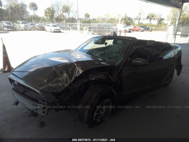 Photo 1 VIN: 1ZVBP8EM4D5276301 - FORD MUSTANG 