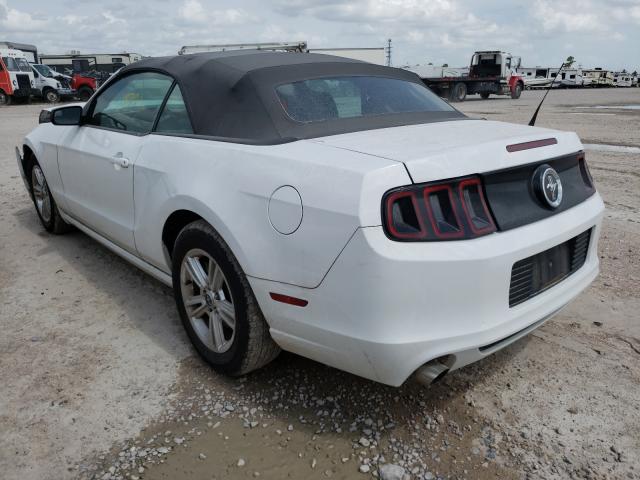 Photo 2 VIN: 1ZVBP8EM4E5229352 - FORD MUSTANG 