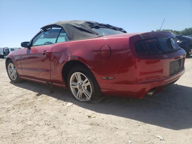 Photo 1 VIN: 1ZVBP8EM4E5275702 - FORD MUSTANG 