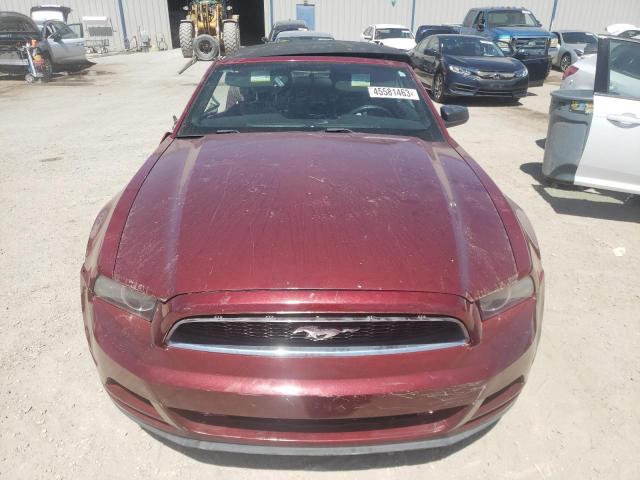 Photo 4 VIN: 1ZVBP8EM4E5275702 - FORD MUSTANG 