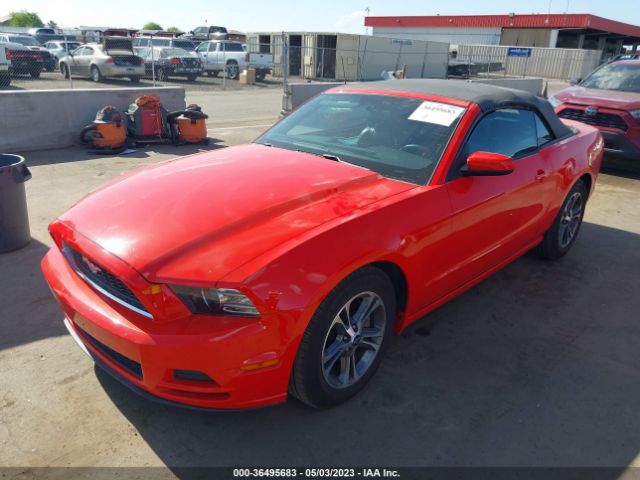 Photo 1 VIN: 1ZVBP8EM4E5293164 - FORD MUSTANG 