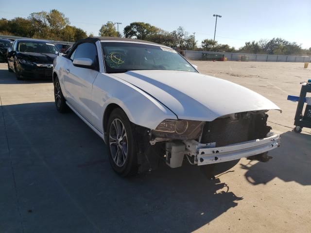 Photo 0 VIN: 1ZVBP8EM4E5304454 - FORD MUSTANG 