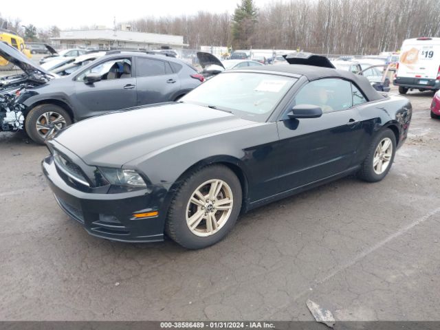 Photo 1 VIN: 1ZVBP8EM4E5318158 - FORD MUSTANG 