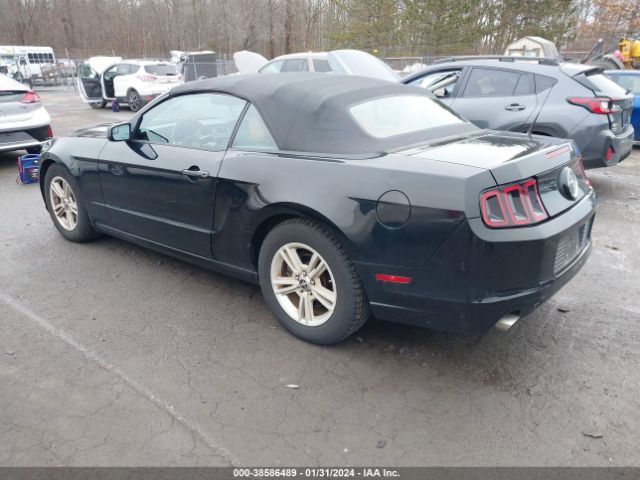 Photo 2 VIN: 1ZVBP8EM4E5318158 - FORD MUSTANG 