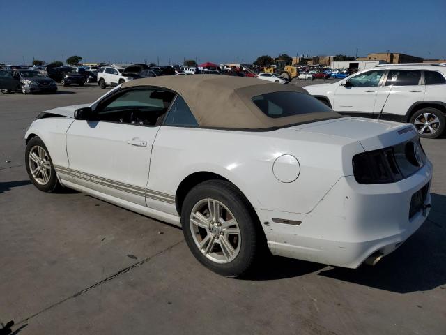 Photo 1 VIN: 1ZVBP8EM4E5322873 - FORD MUSTANG 