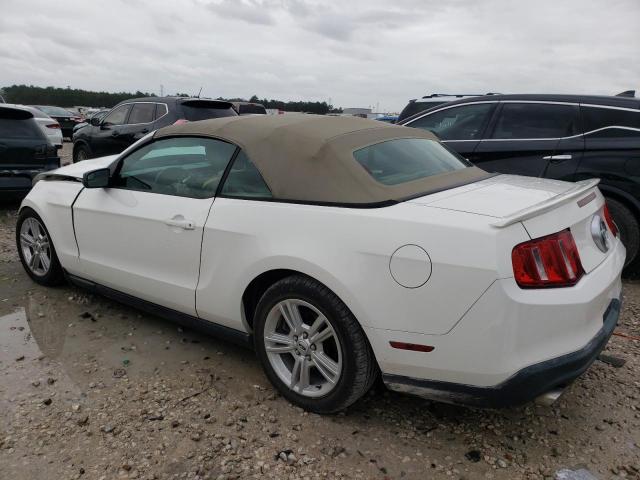 Photo 1 VIN: 1ZVBP8EM5B5161607 - FORD MUSTANG 