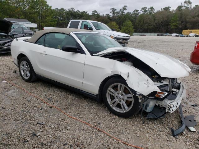 Photo 3 VIN: 1ZVBP8EM5B5161607 - FORD MUSTANG 