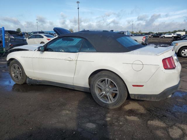 Photo 1 VIN: 1ZVBP8EM5C5210662 - FORD MUSTANG 