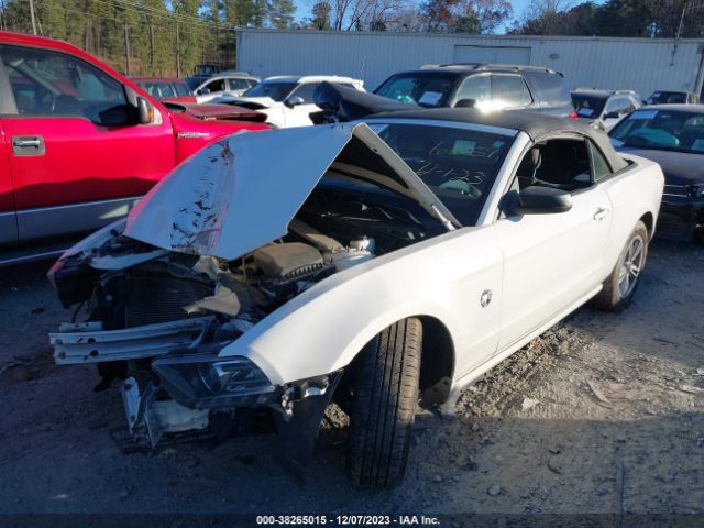 Photo 1 VIN: 1ZVBP8EM5D5206659 - FORD MUSTANG 