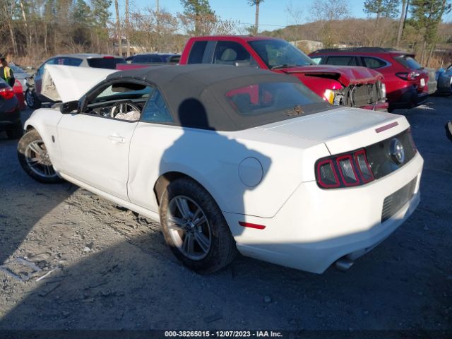 Photo 2 VIN: 1ZVBP8EM5D5206659 - FORD MUSTANG 