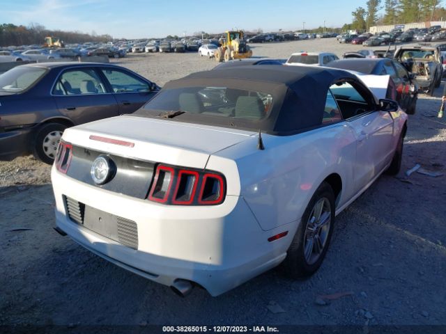 Photo 3 VIN: 1ZVBP8EM5D5206659 - FORD MUSTANG 