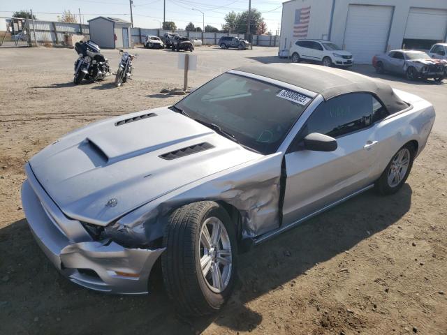 Photo 1 VIN: 1ZVBP8EM5D5224594 - FORD MUSTANG 