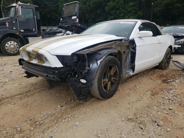 Photo 1 VIN: 1ZVBP8EM5D5229813 - FORD MUSTANG 