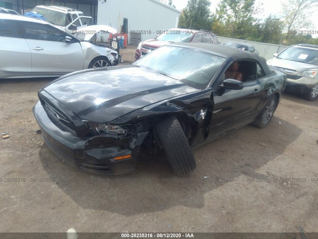 Photo 1 VIN: 1ZVBP8EM5D5244800 - FORD MUSTANG 