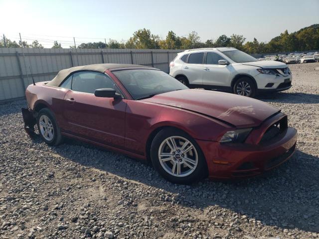 Photo 3 VIN: 1ZVBP8EM5E5285722 - FORD MUSTANG 