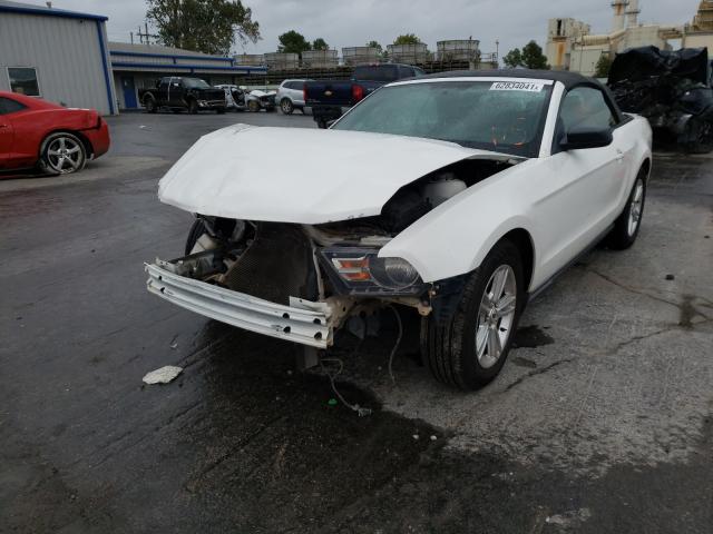 Photo 1 VIN: 1ZVBP8EM6B5118149 - FORD MUSTANG 