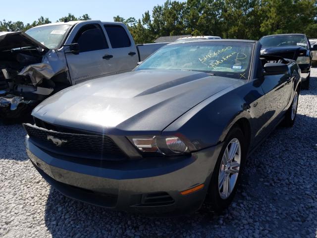 Photo 1 VIN: 1ZVBP8EM6B5150325 - FORD MUSTANG 