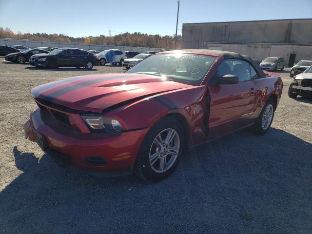 Photo 1 VIN: 1ZVBP8EM6B5161230 - FORD MUSTANG 